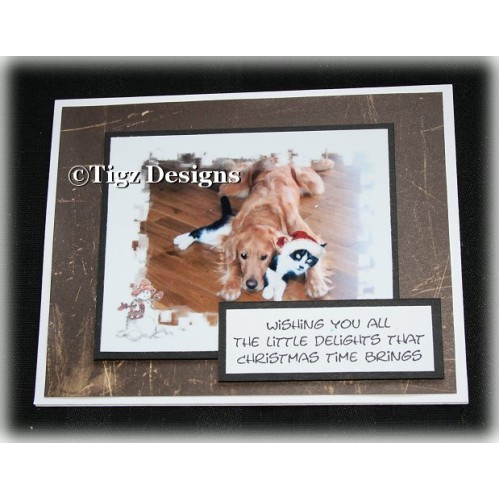 Custom Pet Christmas Cards by Tigz Designs - 10 Cards